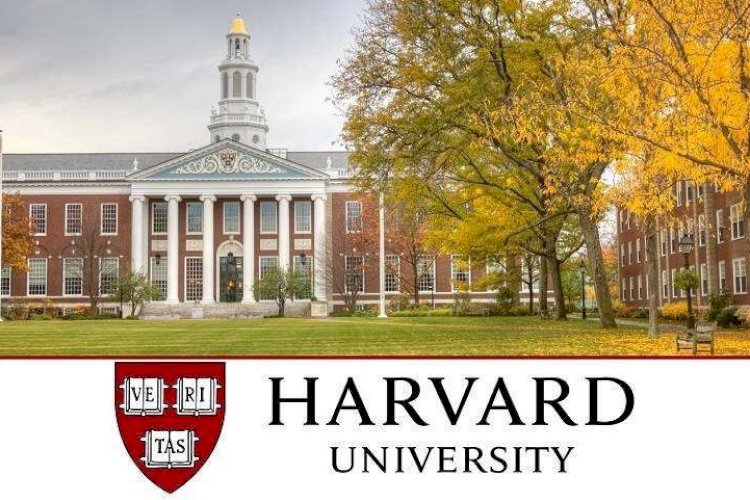 HARVARD BUSINESS SCHOOL - THE MBA APPLICATION