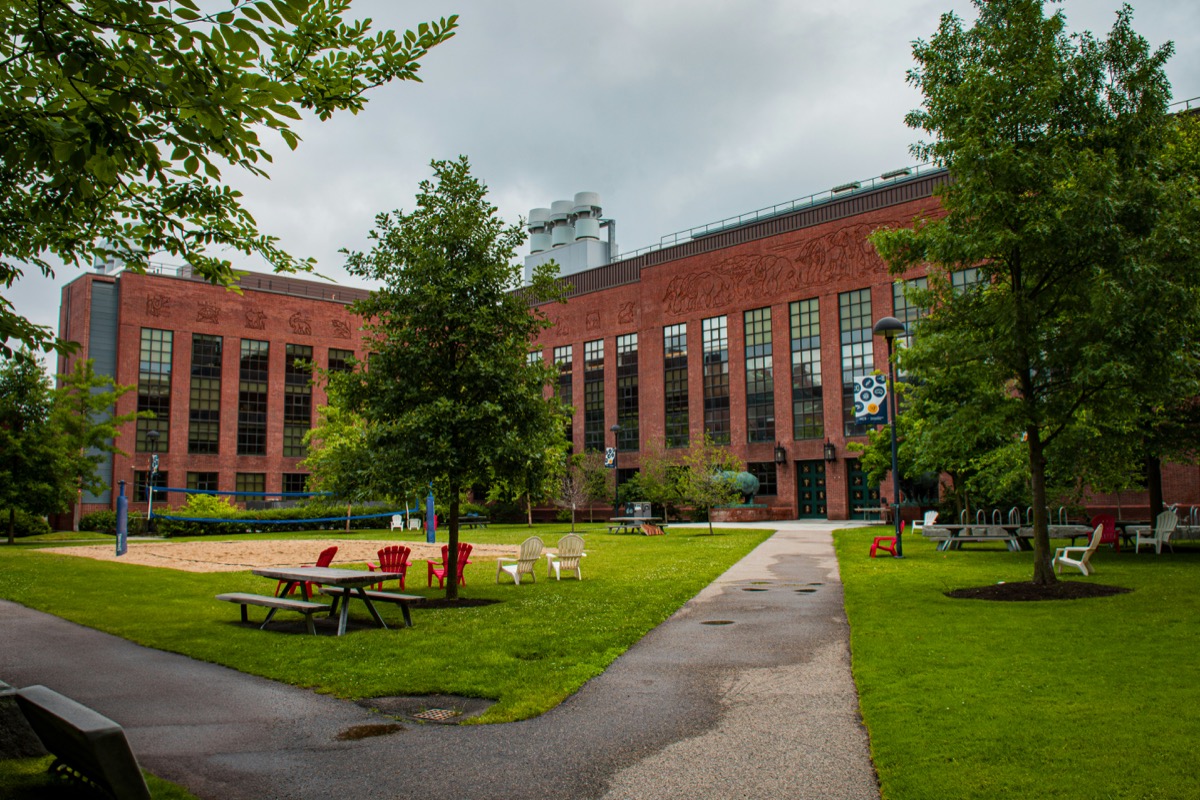 APPLYING TO THE HARVARD 2+2 MBA PROGRAM